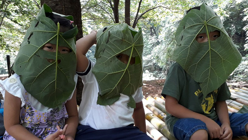 좌구산 숲 명상의 집 숲해설 사진1