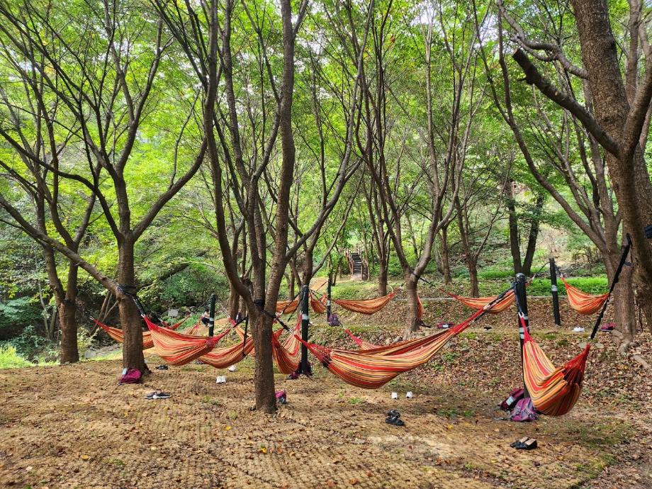 증평 좌구산숲명상의집, 산림치유의 명소로 도약