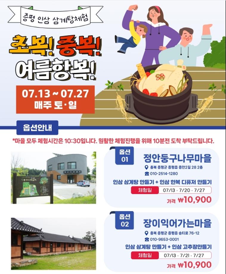 인삼 체험 초복! 중복! 여름항복! 증평인삼 문화공방 프로그램 운영