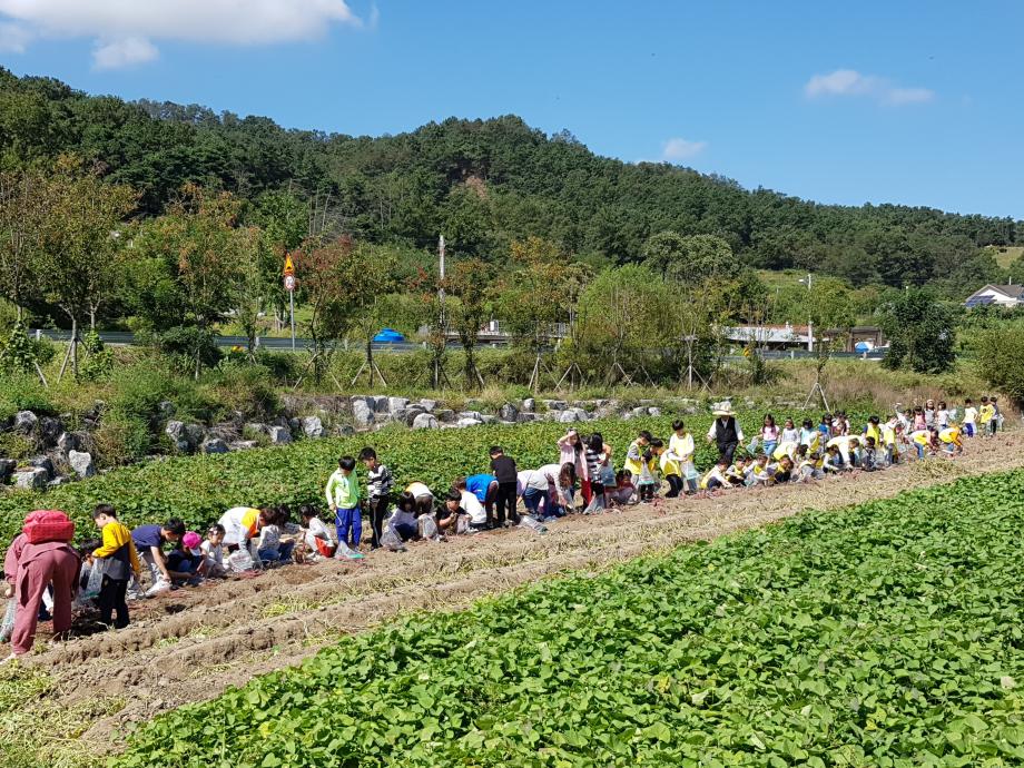 사천초등학교 체험모습