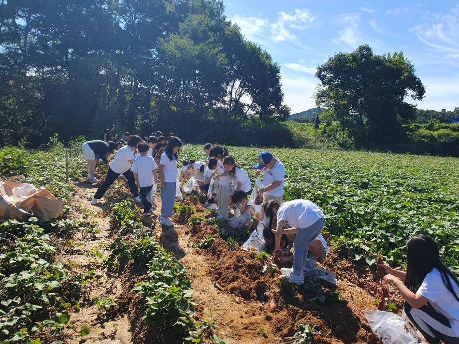 증안초등학교 견학