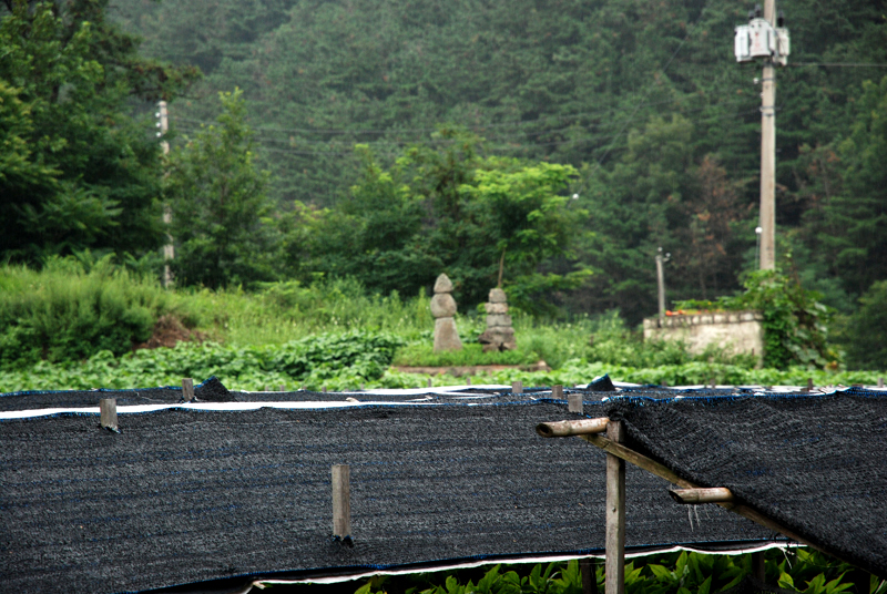 연탄리 3층석탑(連彈里 3層石塔)