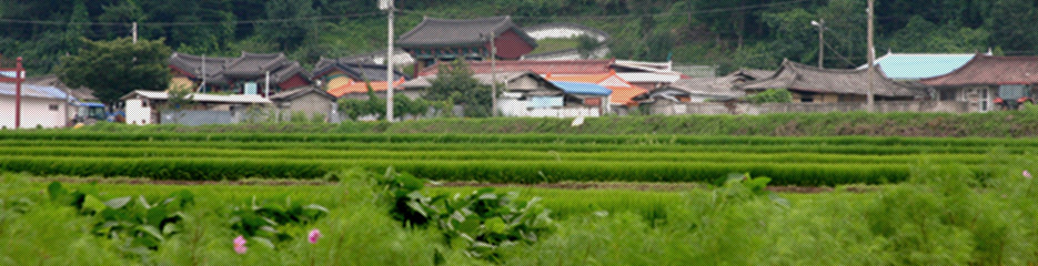 석곡2리 마을 전경