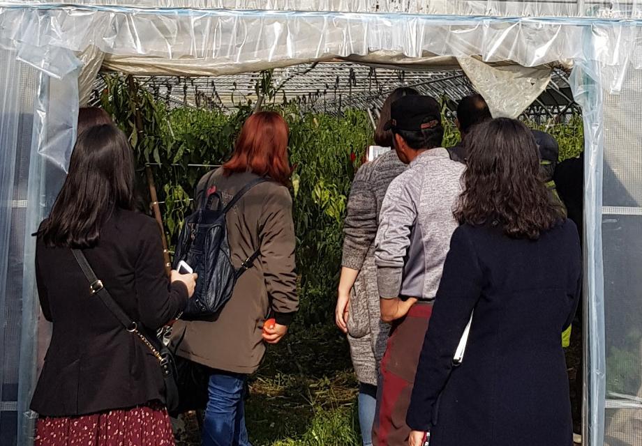 증평군, 학교급식 친환경 농산물 공급 실태 점검 나서