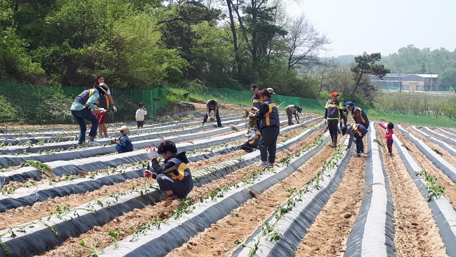 증평군 증안골정보화마을“주말농장 분양 서두르세요”