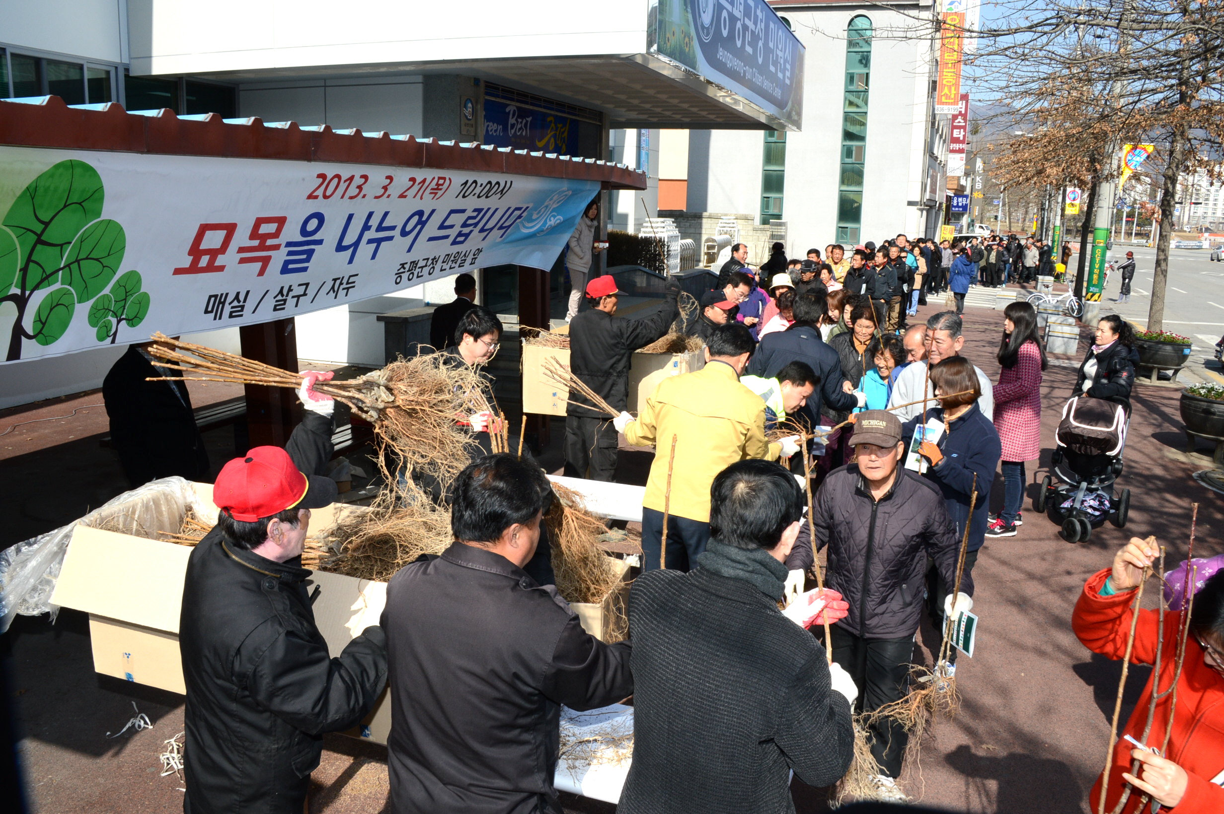 저탄소 녹색성장 나무 나누기 행사 가져