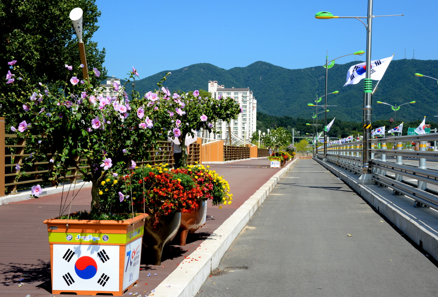 증평군, 남다른 무궁화 사랑