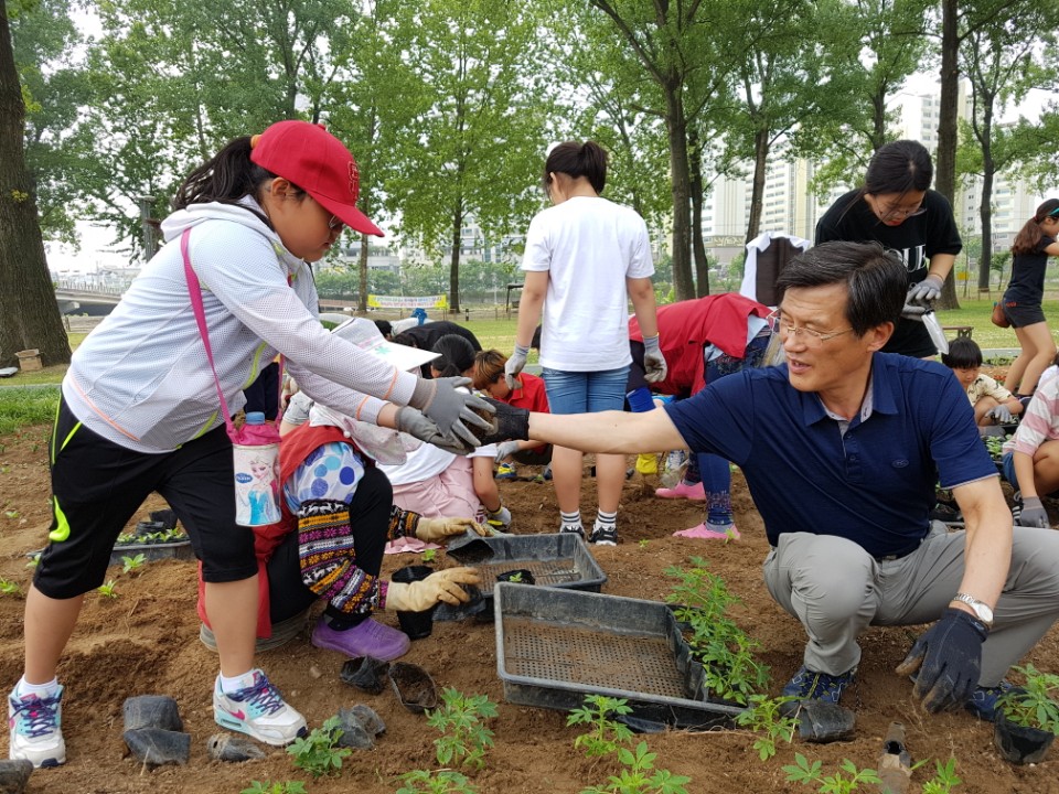 증평군, 보강천 미루나무 숲에 숲속 동심꽃밭 조성