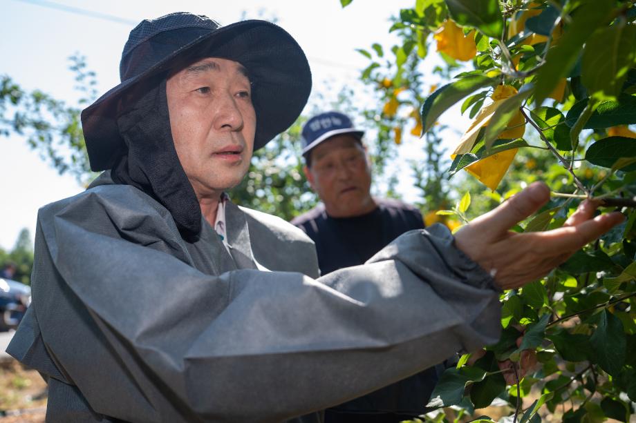 이재영 증평군수, 과수화상병 대응 현장점검 나서