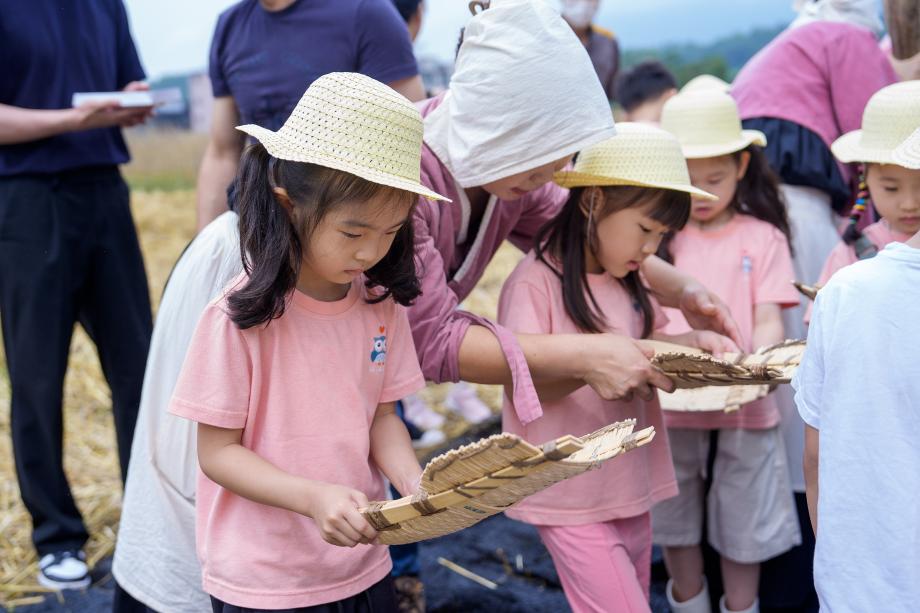 증평군, 전통 보리타작 체험행사...‘자연의 소중함과 학교 설립 염원 함께 나눠’